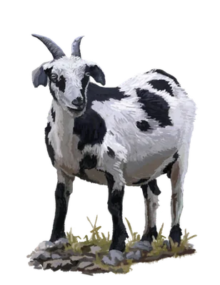 Chivo de Lonquimay